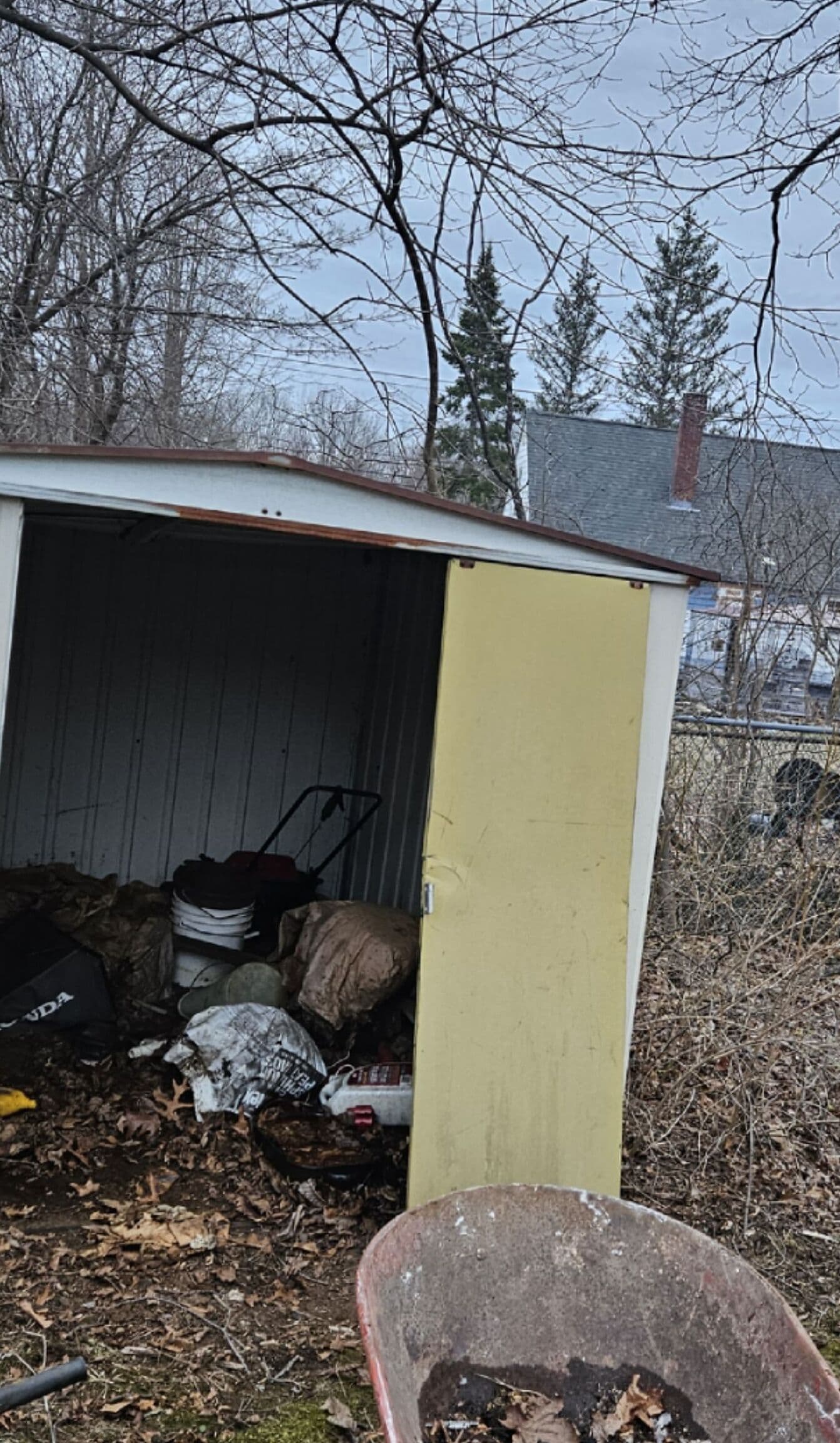 Abandoned shed with open door, filled with debris and overgrown vegetation.