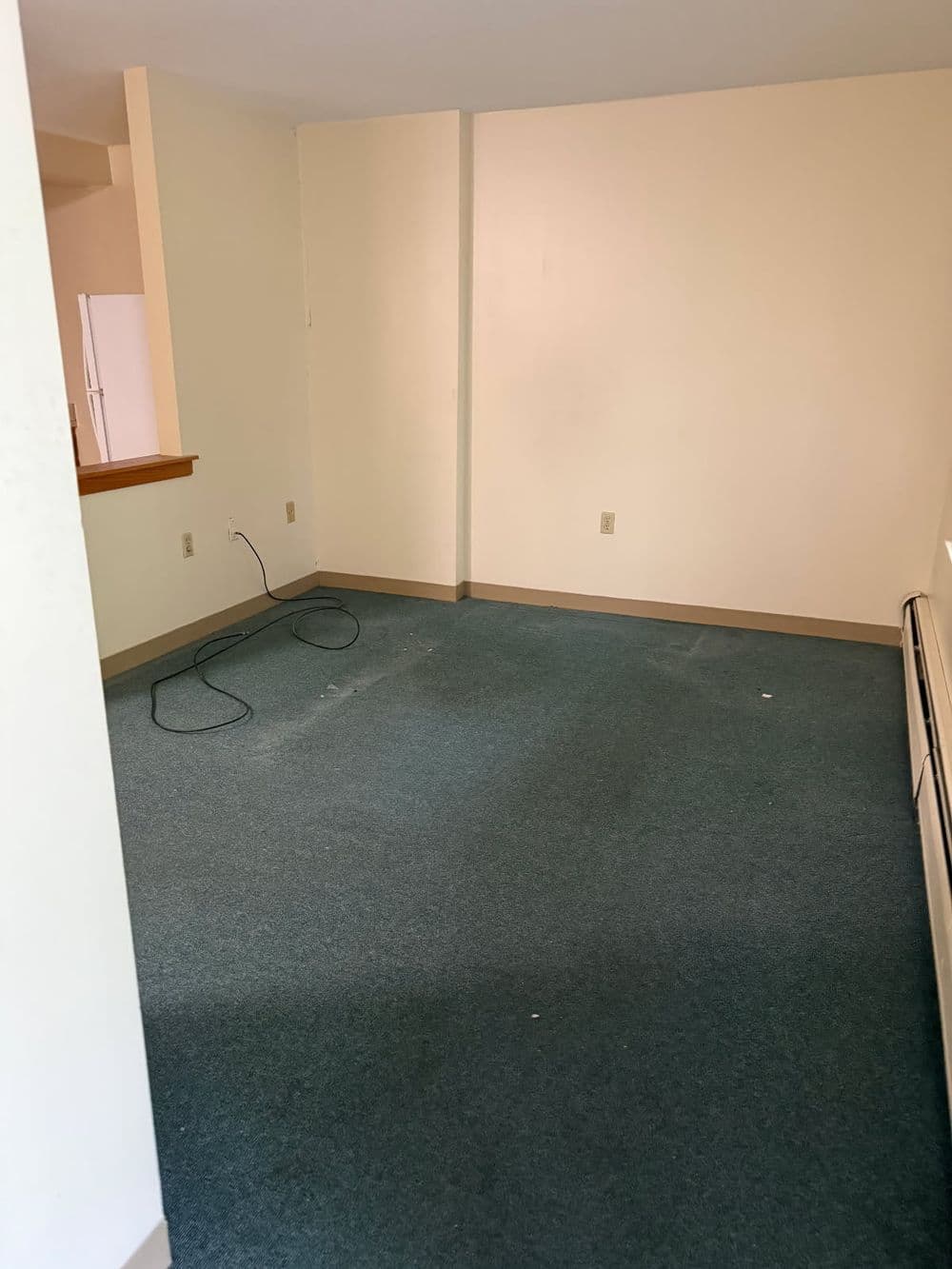 Empty room with green carpet and beige walls, ideal for interior decorating ideas.